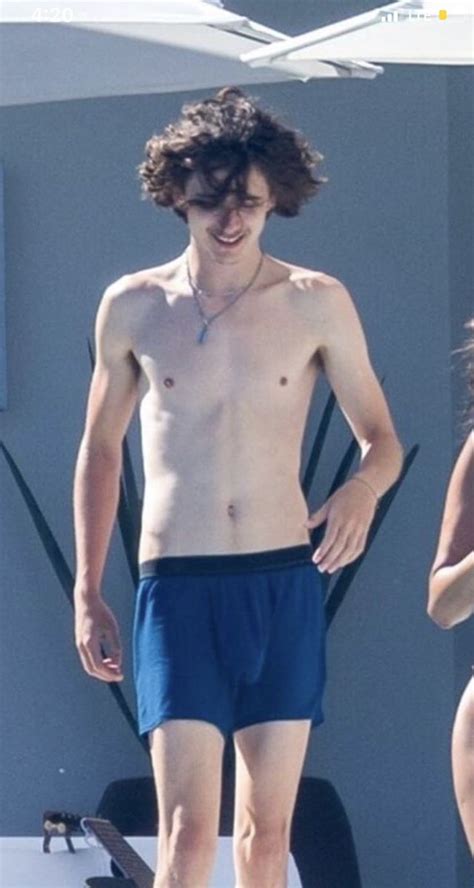 timothee chalamet naked porn|Timothee Chalamet Porn DeepFakes